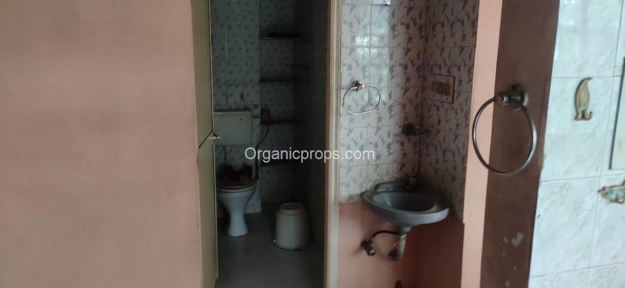 WhatsApp Image 2023-11-06 at 320231106182755266.jpeg